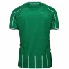 Werder Bremen Camiseta 2025 2026 Casa Verde - Camiseta Werder Bremen | PTDHMALL