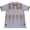 Camiseta 2025 2026 cuarta Blanca - Camiseta Psv Eindhoven | PTDHMALL
