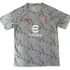 AC Milan Camiseta 2025 2026 Especial Gris - Camiseta Serie A AC Milan | PTDHMALL