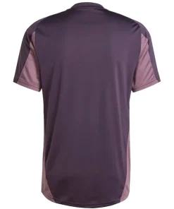 Arsenal Camiseta 2025 2026 Especial Púrpura - Camiseta Arsenal | PTDHMALL