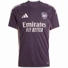 Arsenal Camiseta 2025 2026 Especial Púrpura - Camiseta Arsenal | PTDHMALL