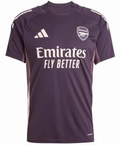 Arsenal Camiseta 2025 2026 Especial Púrpura - Camiseta Arsenal | PTDHMALL