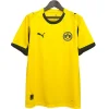Borussia Dortmund Camiseta 2025 2026 Especial Amarilla - Camiseta Borussia Dortmund | PTDHMALL