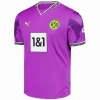 Borussia Dortmund Camiseta 2025 2026 Especial Púrpura - Camiseta Borussia Dortmund | PTDHMALL