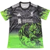 Liverpool Camiseta 2025 2026 Especial Verde - Camiseta Liverpool | PTDHMALL