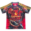 Manchester United Camiseta 2025 2026 Especial Roja - Camiseta Manchester United | PTDHMALL