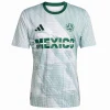 México Camiseta 2026 Especial Verde - Camiseta Selección México | PTDHMALL