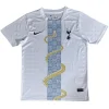 Tottenham Hotspur Camiseta 2025 2026 Especial Blanca - Camiseta Tottenham Hotspur | PTDHMALL