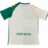 Werder Bremen Camiseta 2025 2026 Especial Verde - Camiseta Werder Bremen | PTDHMALL
