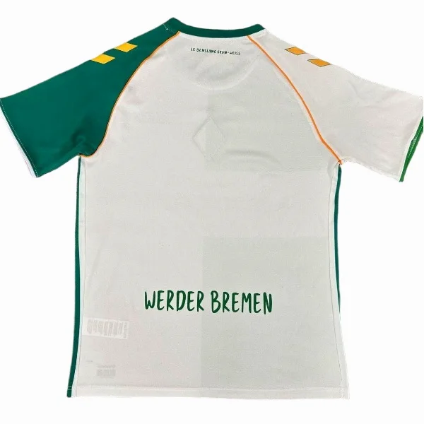 Werder Bremen Camiseta 2025 2026 Especial Verde - Camiseta Werder Bremen | PTDHMALL