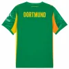 Borussia Dortmund Camiseta 2025 2026 Portero Verde - Camiseta Borussia Dortmund | PTDHMALL