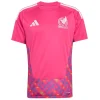 México Camiseta 2026 Portero Rosa - Camiseta Selección México | PTDHMALL