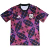 Lyon Camiseta 2025 2026 Roja - Camiseta Lyon | PTDHMALL