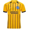 Camiseta 2024 2025 Segunda Amarilla - Camisetas De Futbol Retro | PTDHMALL