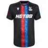 Crystal Palace Camiseta 2024 2025 Segunda Negra - Camiseta Crystal Palace | PTDHMALL