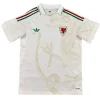 Gales Camiseta 2026 Segunda Blanca - Camiseta Gales Rugby | PTDHMALL