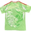 Italia Camiseta 2025 Segunda Verde - Camiseta Italia | PTDHMALL