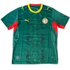 Senegal Camiseta 2026 Segunda Verde - Camiseta Senegal | PTDHMALL
