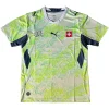 Suiza Camiseta 2026 Segunda Verde - Camiseta Suiza Mundial 2026 | PTDHMALL