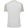 Werder Bremen Camiseta 2025 2026 Segunda Gris - Camiseta Werder Bremen | PTDHMALL