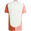 Lyon Camiseta 2024 2025 Tercera Blanca - Camiseta Lyon | PTDHMALL