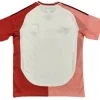 Lyon Camiseta 2024 2025 Tercera Blanca - Camiseta Lyon | PTDHMALL