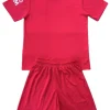 Ipswich Town Conjunto 2024 2025 Tercera Rosa - Ipswich Town Barata | PTDHMALL