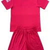 Conjunto 2024 2025 Tercera Rosa | PTDHMALL