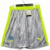 Manchester City Pantalones 2025 2026 Tercera Gris - Manchester City Barata | PTDHMALL