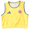 Camiseta 2026 Casa Amarilla - Camiseta Colombia Mujer 2026 | PTDHMALL