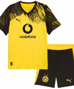 Borussia Dortmund Conjunto 2025 2026 Casa Amarillo - Borussia Dortmund Barata | PTDHMALL