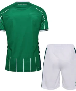 Werder Bremen Conjunto 2025 2026 Casa Verde - Werder Bremen Barata | PTDHMALL