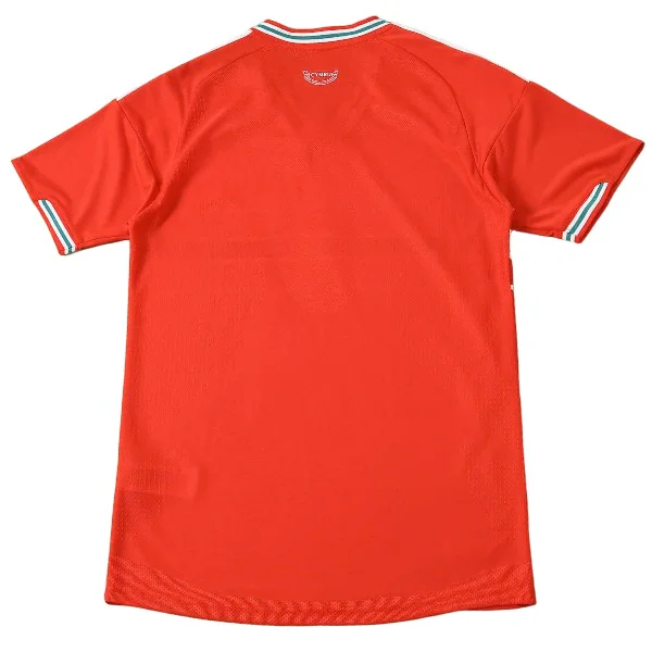 Gales Camiseta Edición Jugadores 2026 Casa Roja - Camiseta Gales Rugby | PTDHMALL