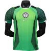 Nigeria Camiseta Edición Jugadores 2026 Casa Verde - Camiseta Nigeria | PTDHMALL