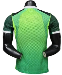 Nigeria Camiseta Edición Jugadores 2026 Casa Verde - Camiseta Nigeria | PTDHMALL