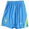 Brasil Pantalones 2026 Casa Azul - Pantalón Brasil | PTDHMALL