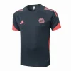 Bayern Múnich Chándal 2025 2026 Gris - Chándal Bayern Múnich | PTDHMALL