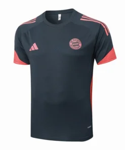 Bayern Múnich Chándal 2025 2026 Gris - Chándal Bayern Múnich | PTDHMALL