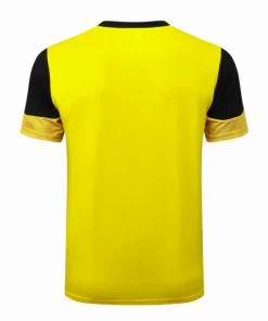 Borussia Dortmund Chándal 2025 2026 Amarillo - Chándal Borussia Dortmund | PTDHMALL
