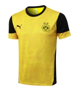Borussia Dortmund Chándal 2025 2026 Amarillo - Chándal Borussia Dortmund | PTDHMALL