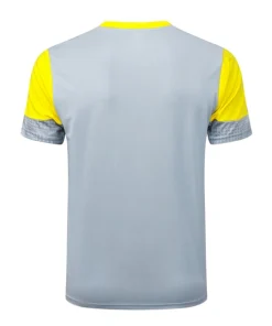 Borussia Dortmund Chándal 2025 2026 Gris - Chándal Borussia Dortmund | PTDHMALL
