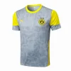 Borussia Dortmund Chándal 2025 2026 Gris - Chándal Borussia Dortmund | PTDHMALL