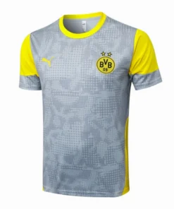 Borussia Dortmund Chándal 2025 2026 Gris - Chándal Borussia Dortmund | PTDHMALL