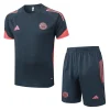Bayern Múnich Conjunto 2025 2026 Gris - Bayern Múnich Barata | PTDHMALL
