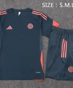 Bayern Múnich Conjunto 2025 2026 Gris - Bayern Múnich Barata | PTDHMALL