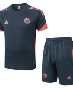Bayern Múnich Conjunto 2025 2026 Gris - Bayern Múnich Barata | PTDHMALL