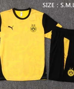 Borussia Dortmund Conjunto 2025 2026 Amarillo - Borussia Dortmund Barata | PTDHMALL