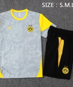 Borussia Dortmund Conjunto 2025 2026 Gris - Borussia Dortmund Barata | PTDHMALL