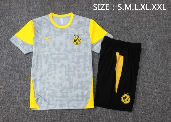 Borussia Dortmund Conjunto 2025 2026 Gris - Borussia Dortmund Barata | PTDHMALL