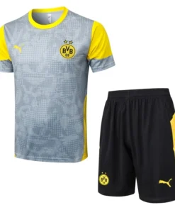 Borussia Dortmund Conjunto 2025 2026 Gris - Borussia Dortmund Barata | PTDHMALL